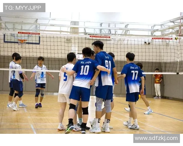 深圳排球队的节奏与魅力探索：排球运动在城市中的发展与影响